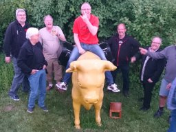 stier